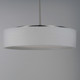Prime LED Pendant (10224WLSN)