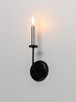 Wesley One Light Wall Sconce (10321BKSN)