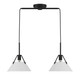 Two Light Linear Chandelier (M100108MBK)