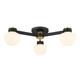 Three Light Semi Flush Mount (M60079MBKNB)