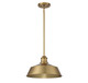 One Light Pendant (M7021NB)