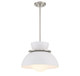 Meridian - M7026BN - One Light Pendant - Brushed Nickel