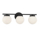 Three Light Bathroom Vanity Light (M80023MBK)
