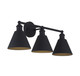 Three Light Bathroom Vanity Light (M80064MBK)