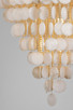 Aurelia'S Cove 15 Light Pendant (N1919)