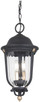 Minka-Lavery - 73236-738 - Three Light Outdoor Chain Hung - Peale Street - Sand Coal And Vermeil Gold