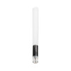 white glass tip pre rolled cone standing upright with a visible filter inside the clear tip