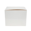 20 Pack Display Box - White [OUTER BOX ONLY] [50 per Case]