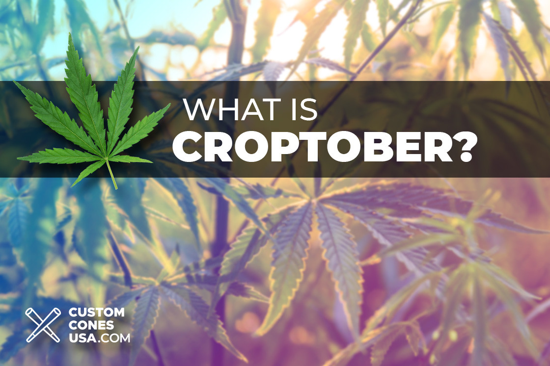 What is Croptober? What is Croptober?