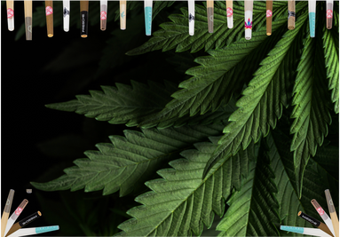 How to Design a Custom Branded Pre-Roll