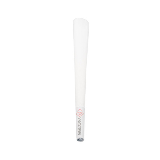 white pre rolled cone upright with a slanted wide top and the rolled paper filter at the bottom