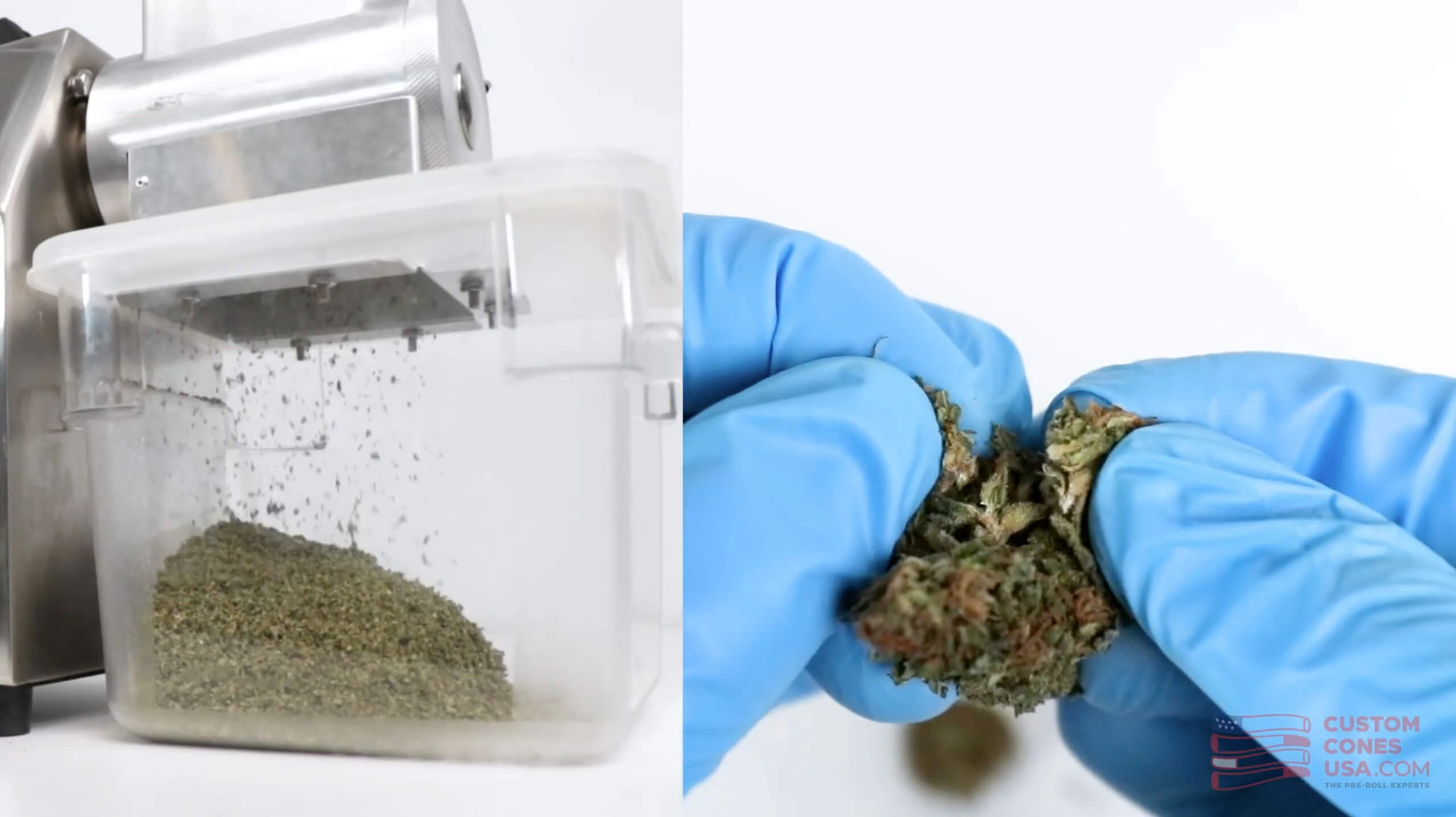 annabis-sample