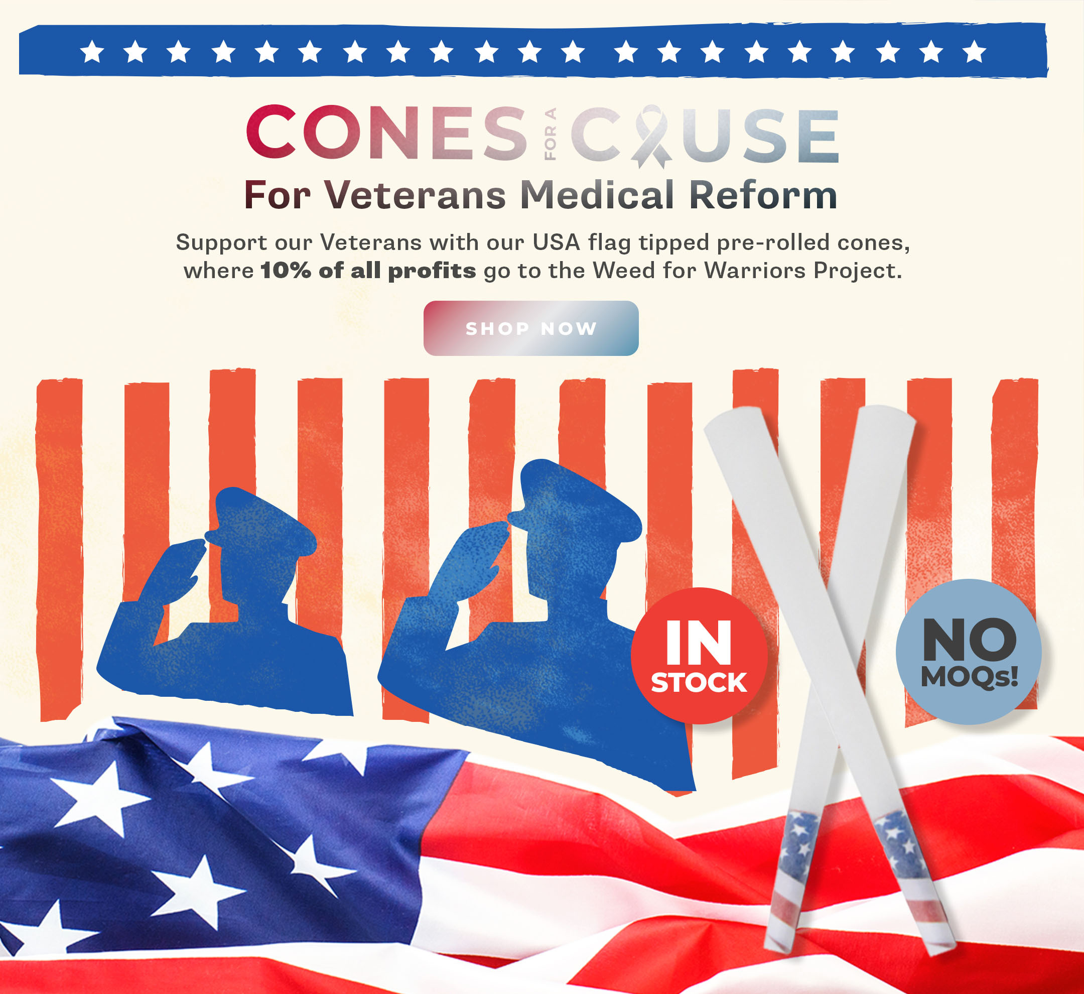 Cones for a Cause for Veterans Medical Reform - Learn More