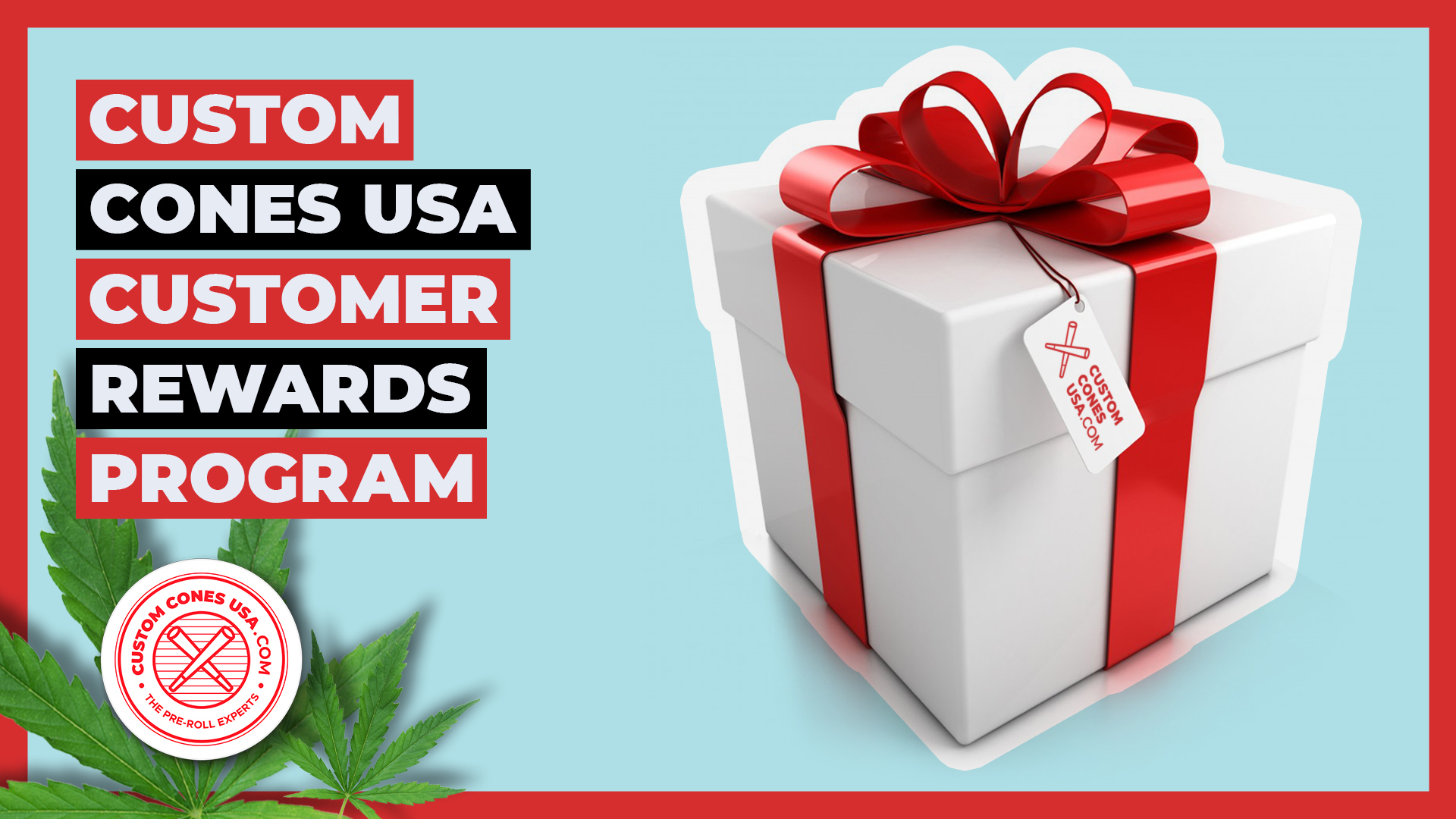Custom Cones USA
