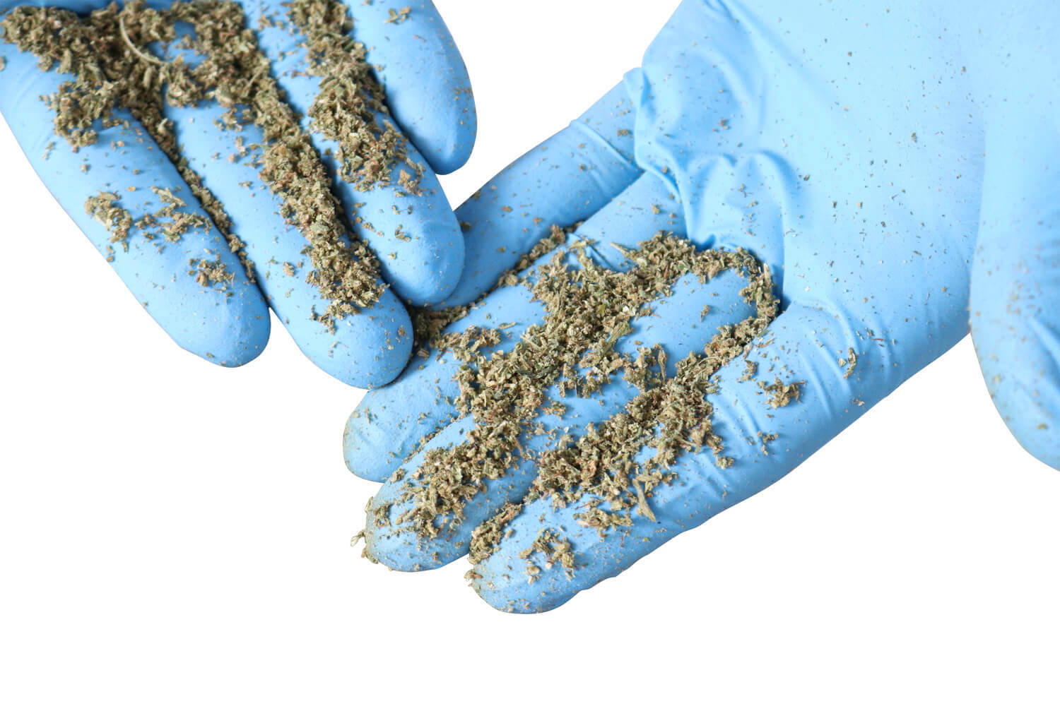 Pre-Roll Cannabis