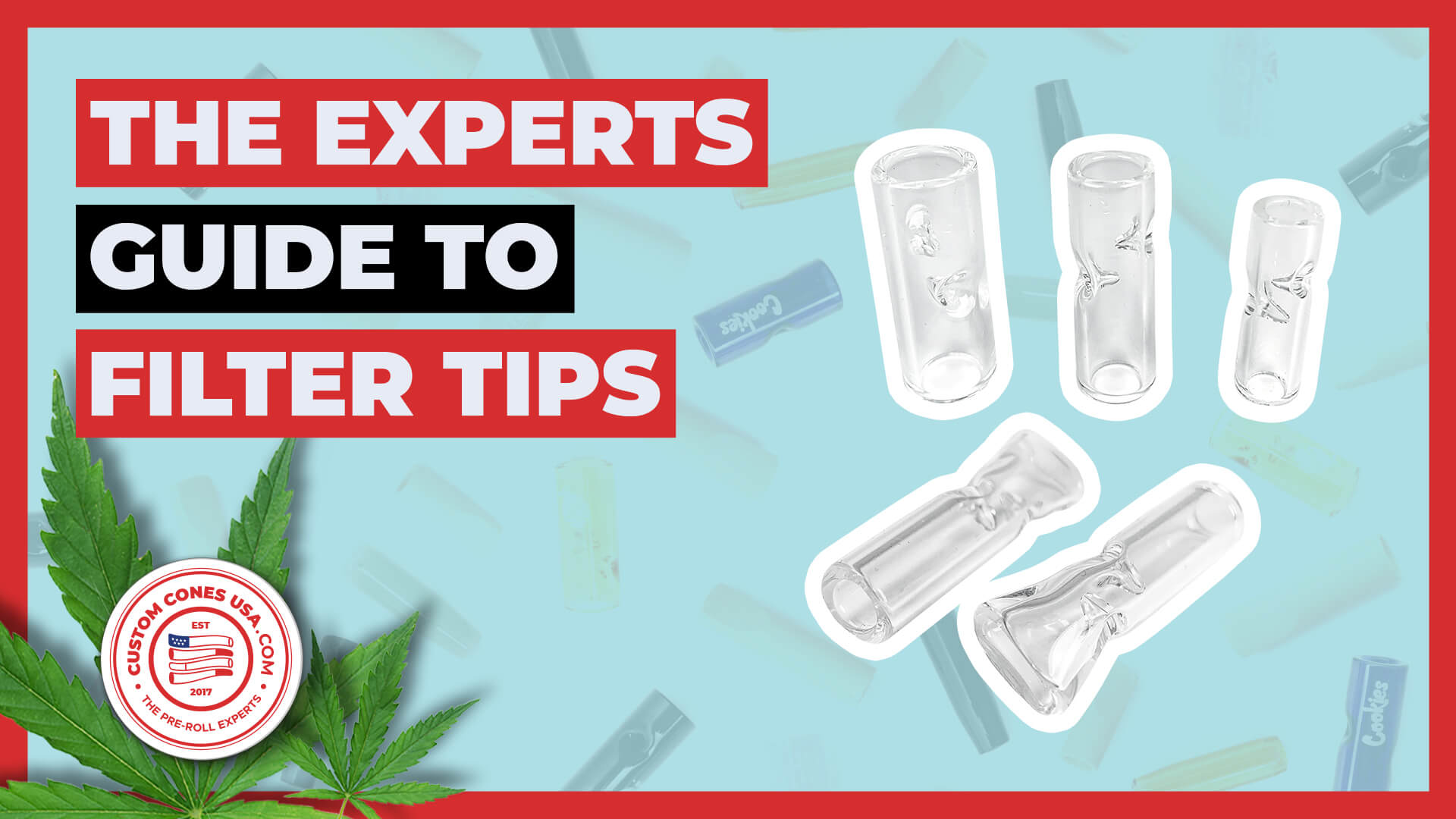  Guide to Glass Tips Blog 