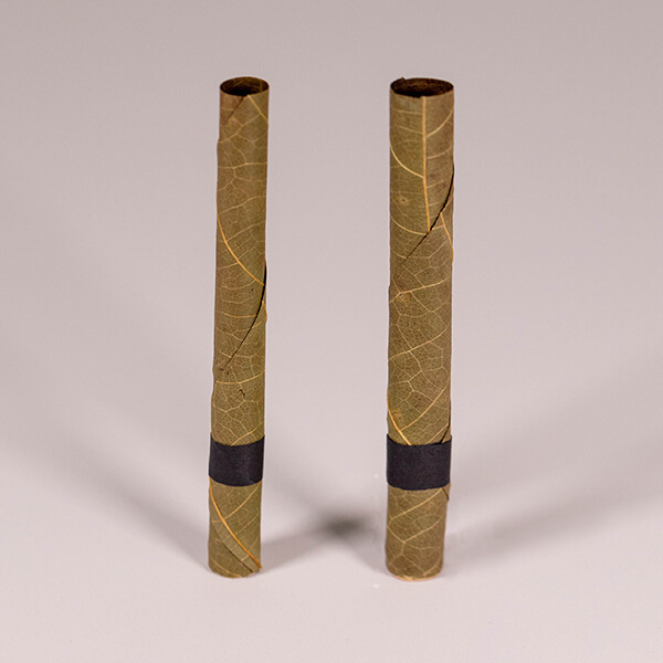 king plam style palm blunts