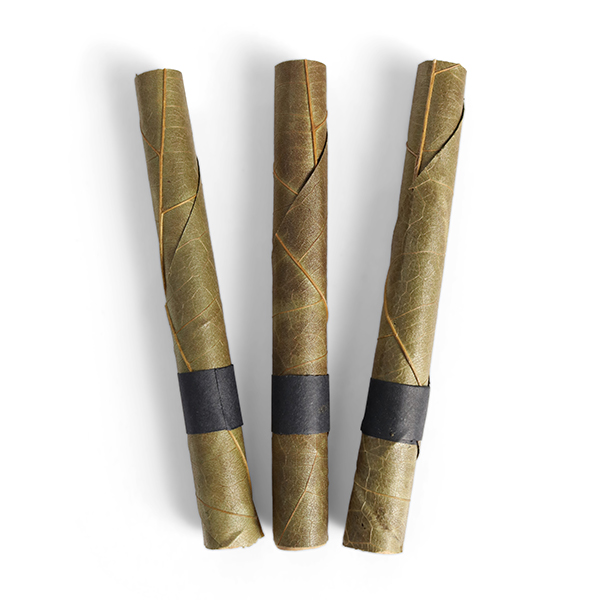 king plam style palm blunts