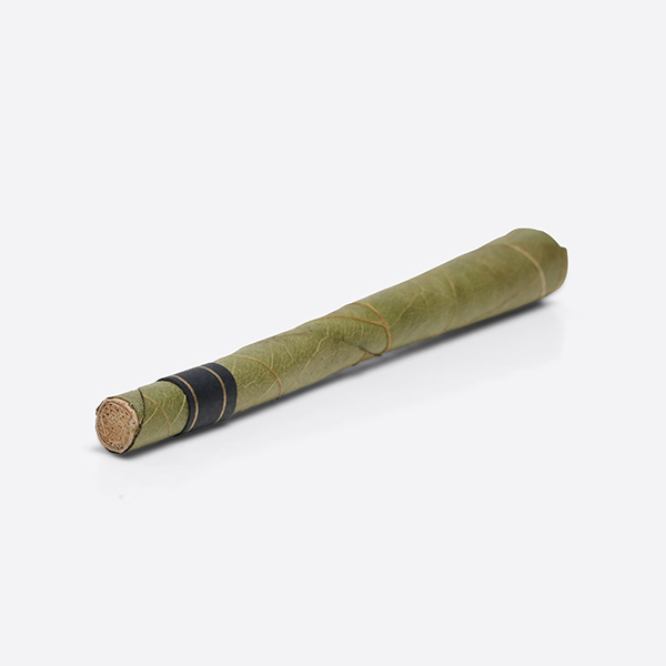 pre-rolled-cordia-palm-leaf-natural-blunt-cone-109mm-600px.jpg