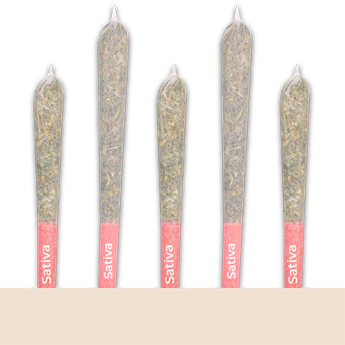 sativa cones