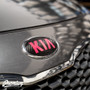 Carbon Fiber with Gloss Pink Kia Logo for 2014-2016 Kia Forte Hatch