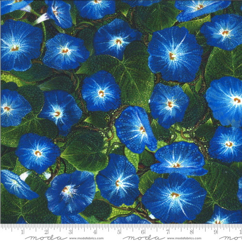 Dreamscapes Digital Blue and White Morning Glories Fabric - 51242-11D