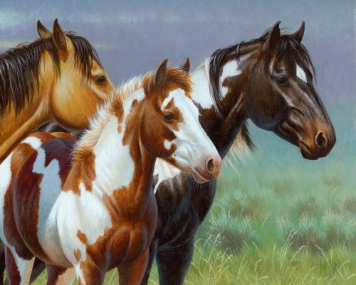 Paint Horse and Foal Panel - Approx. 36" x 44" - JQ-0126-1C-1 Multi