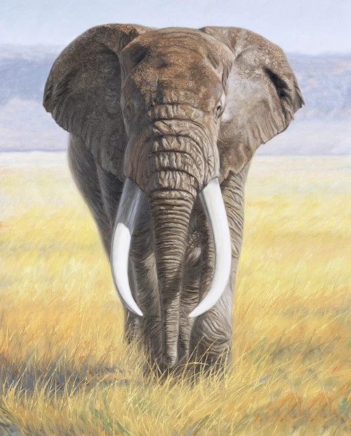 Power of Nature - Elephant 35.5" Fabric Panel (#125) - AL-4132-1C Multi