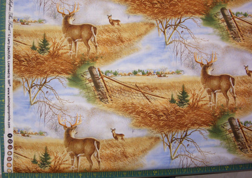 COUNTRYSIDE SCENE WITH BUCK AND DOE