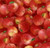 Tossed Apples - 260Red