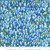 Dreamscapes Digital Field of Light Blue Fabric - 51243-12D