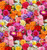 Multi-Color Roses Floral Print Fabric - 663multi