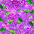 Multi-Color Dragonflies and Flowers on Violet Marble Fabric - 2792-55