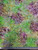 Greens and Purples Floral Batik Fabric - CD-03706-001