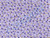 Purple, White and Yellow Tiny Flowers on Lavender Fabric - BD-49482-A02