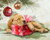 Christmas Sleepy Pup Panel 36" Fabric Panel - AL-4553-1C-1 Multi