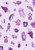 Jennie's Purples Fabric - JM1-4