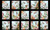 Hummingbird Dating Game Block Panel - 24" x 44" - on Black Fabric - 40006 Black