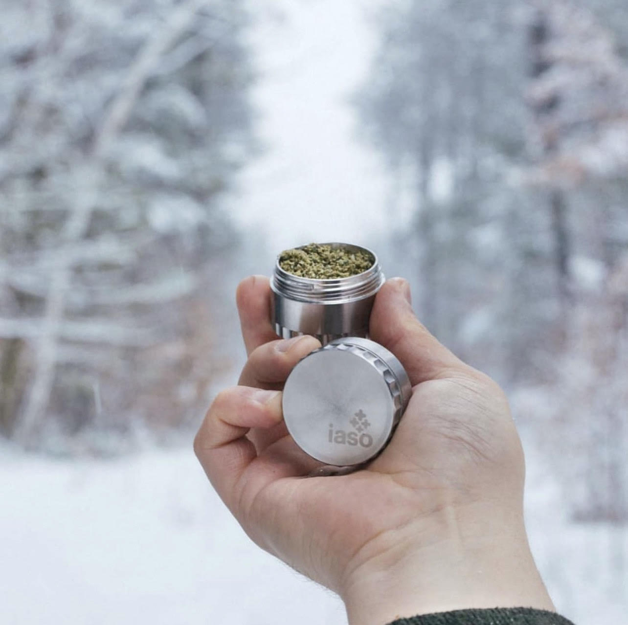 ​Reducing Waste this Holiday Season