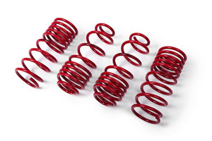 MTS Technik LOWERING SPRINGS CUPRA LEON (KL) MTS Technik LOWERING SPRINGS CUPRA LEON (KL)