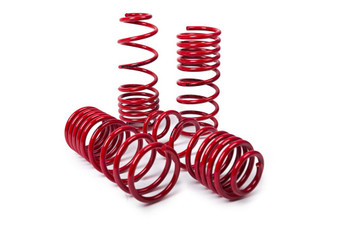 MTS Technik - LOWERING SPRINGS CUPRA FORMENTOR 30mm