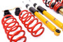 COILOVER KIT STREET VOLKSWAGEN TIGUAN I With Camber Tops