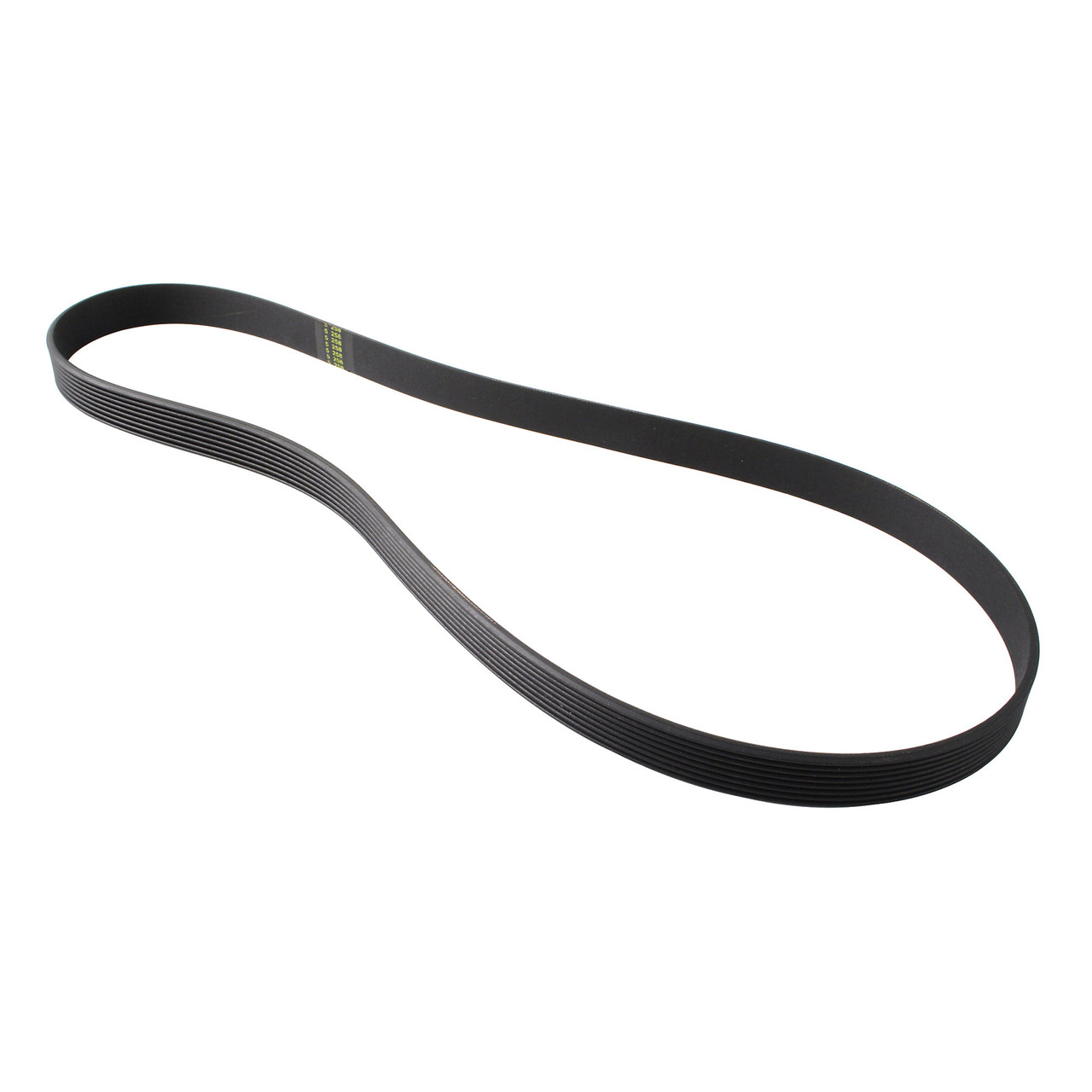 Flexonic Belt 1008J8ej161 - Sportsmith