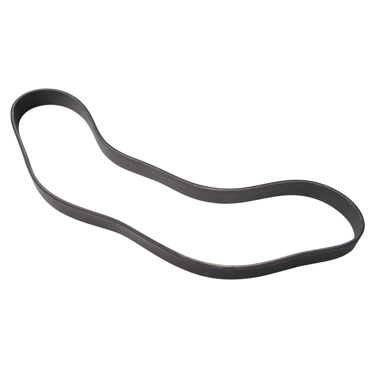 Belt, Poly-V, LifeFitness 0K69-01196-0000 | Sportsmith