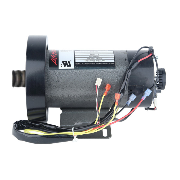 Motor, 230V, LifeFitness 7934601
