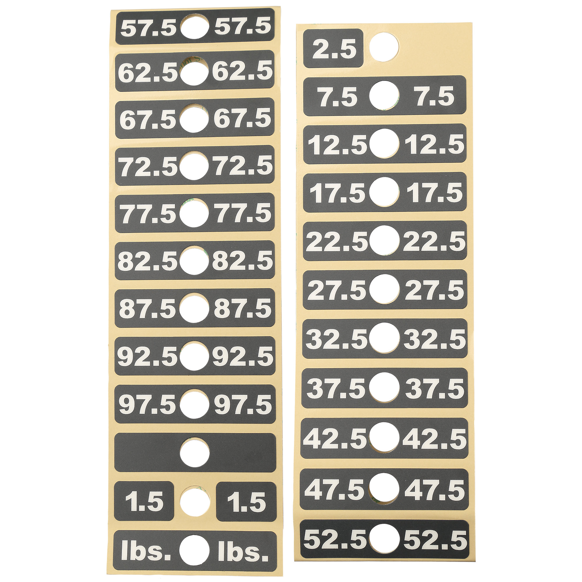 Weight Stack Labels, 97.5 lbs, LifeFitness Dual Adj Pulley CMDAP