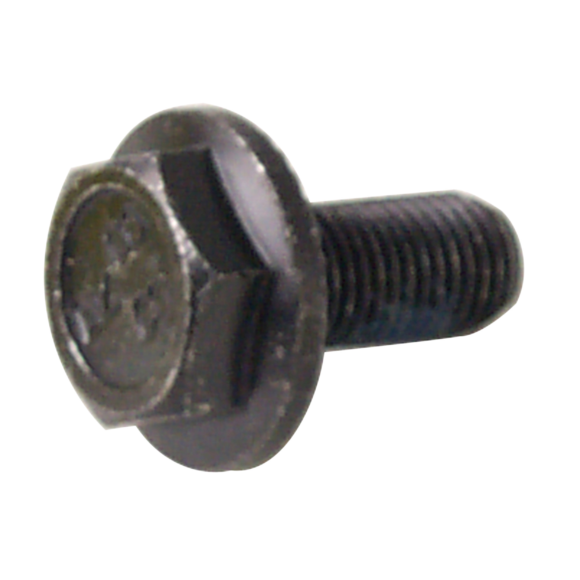 Crank Bolt