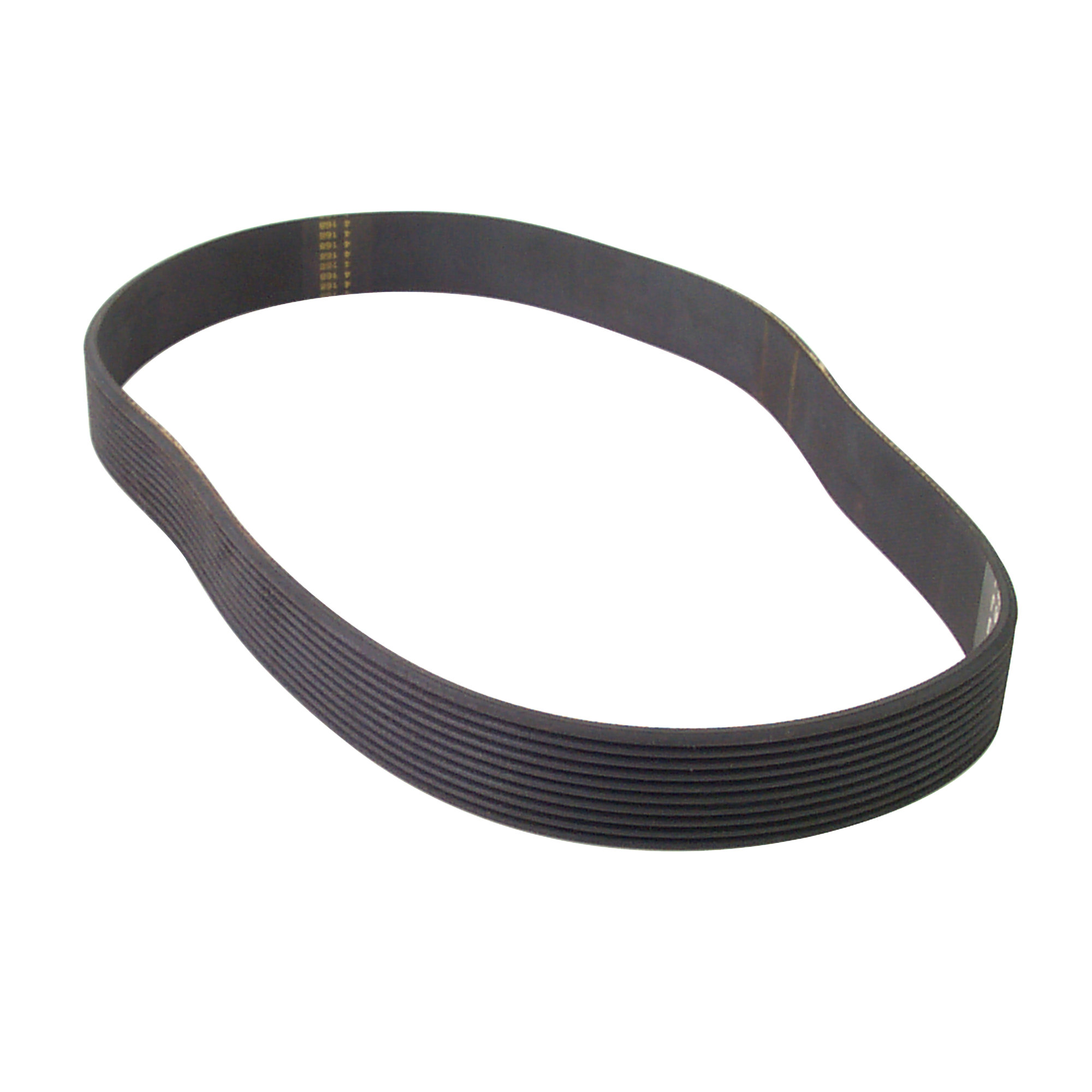 Drive Motor Belt, Poly V