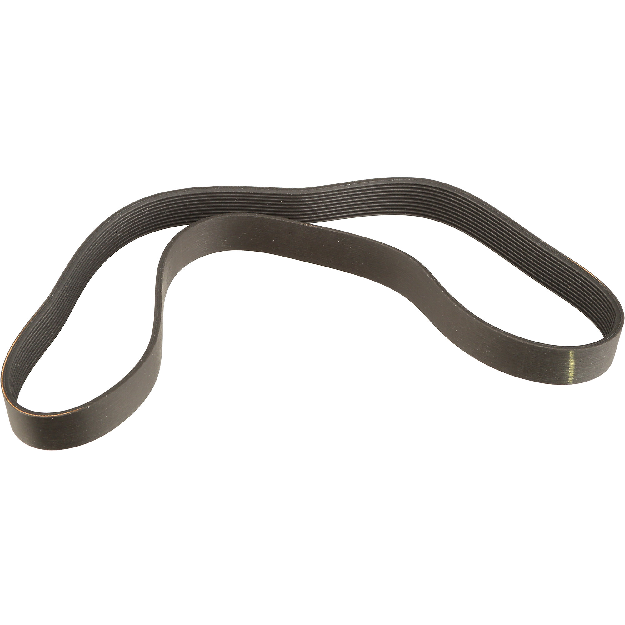 Drive Belt for certain True Fitness Machines True Fitness 7C460600