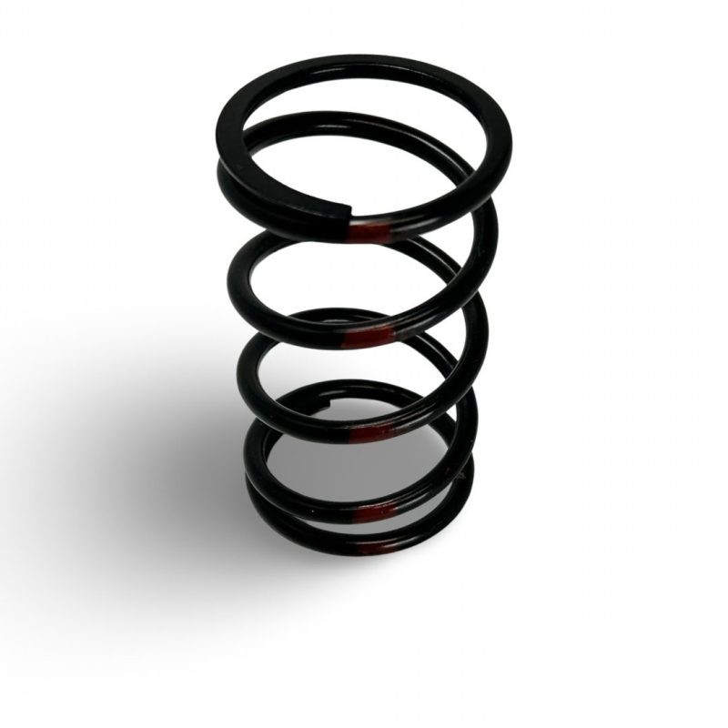 100-1037-PIC2-Polaris-Ace-